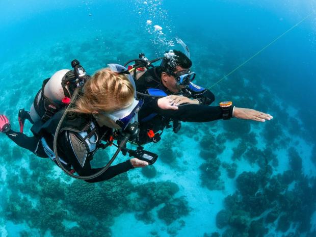 PADI Professional | PADI